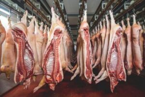 Business In Cameroon